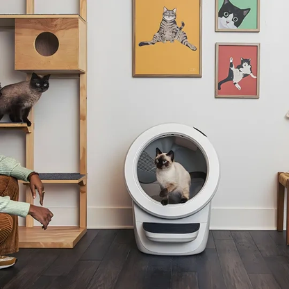 🔥Last Day Promotion!🔥2026 New Self-Cat Litter Cleaner