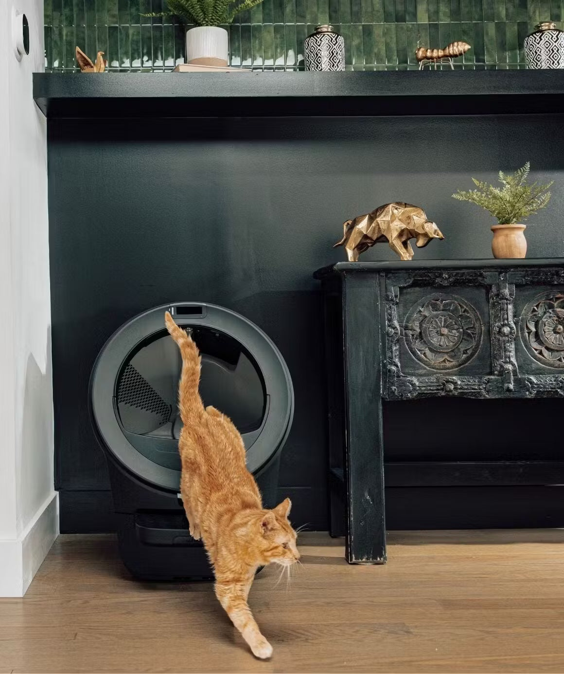 🔥Last Day Promotion!🔥2026 New Self-Cat Litter Cleaner