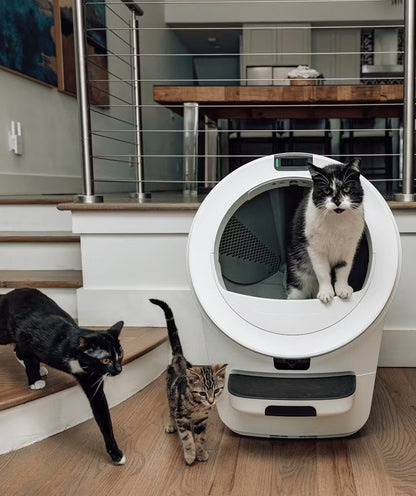 🔥Last Day Promotion!🔥2026 New Self-Cat Litter Cleaner