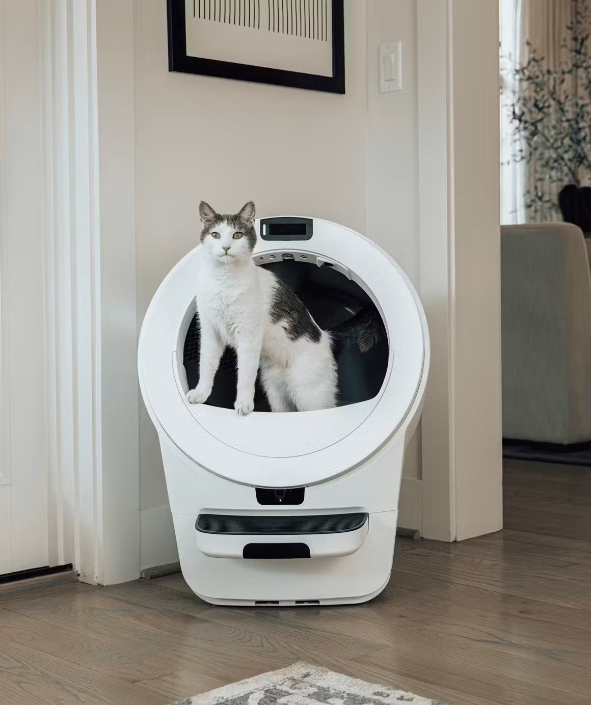 🔥Last Day Promotion!🔥2026 New Self-Cat Litter Cleaner